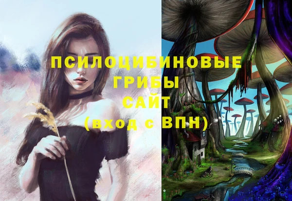гидра Балахна