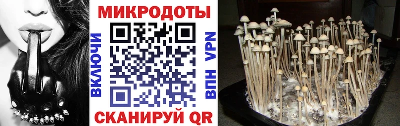 Псилоцибиновые грибы GOLDEN TEACHER  Талдом 